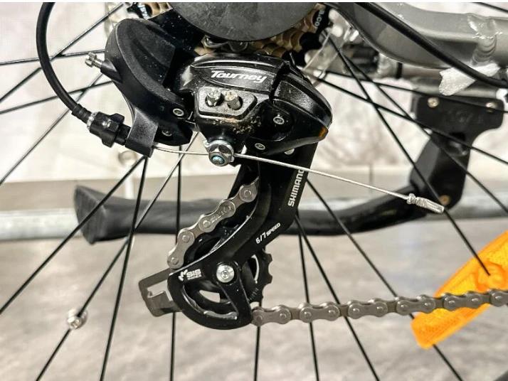 E-Trekking Bike Rover TLM 709