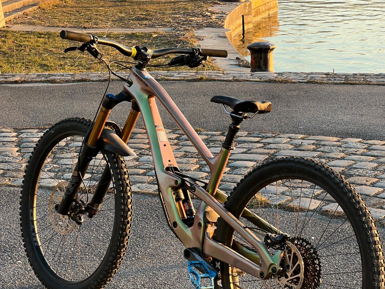 Cannondale Jekyll 1 | Carbon | Fox 38 & X2 Factory | SRAM GX | M