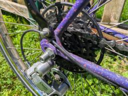 Peugeot South Pacific Stadtrad