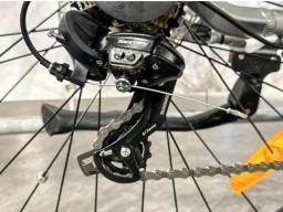 E-Trekking Bike Rover TLM 709